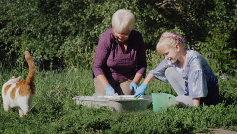 grandmother and granddaughter put flowers together in the yard active senior people concept