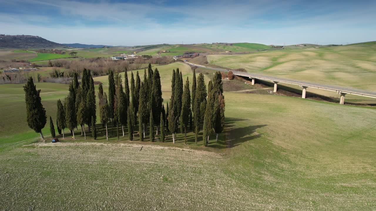 grupo de cipreses en la toscana cerca de san quirico d'orcia. vista aérea circular de cipresos en el valle de orcia, italia