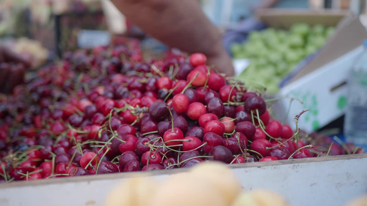 ciliegie fresche al mercato