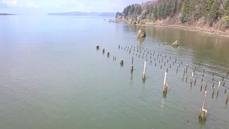 Flying-by-solo-tree-on-rock-island-in-the-bay-with-drone-1080p