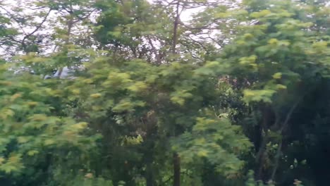 Bosques-Verdes-Fuera-De-La-Vista-Desde-El-Tren-Expreso-De-Pasajeros-Indio-Que-Circula-Por-La-Vía-Por-La-Noche.-El-Video-Se-Toma-En-La-Estación-De-Tren-De-Kamakhya-En-Assam,-India,-El-22-De-Mayo-De-2022.