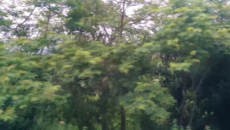 綠色森林外觀 從印度乘客快速列車在晚上在軌道上運行 影片是在2022年5月22日在阿薩姆印度的卡馬克雅火車站拍攝的