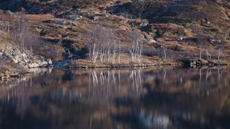 the still mirrorlike surface of the lake reflects the bleak tundra landscape