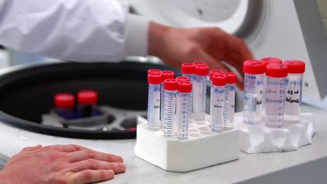 científico colocando tubos de ensayo en la centrifugadora.