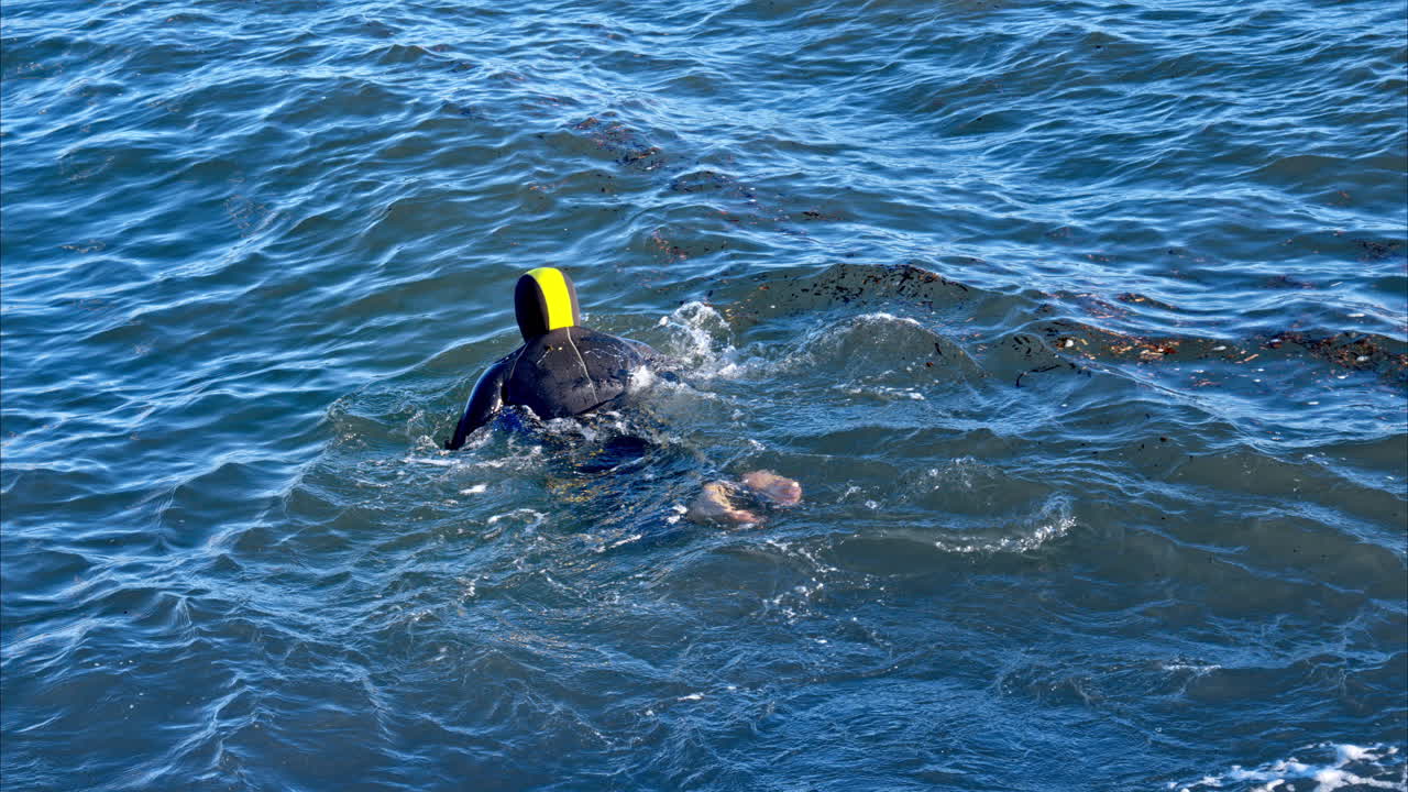 Man in diving suit swimming in the sea