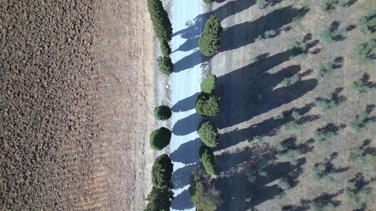 아름다운 상공 뷰 비행 토스카니아 사이프러스 골목 도로 지중해 이탈리아 가을 23