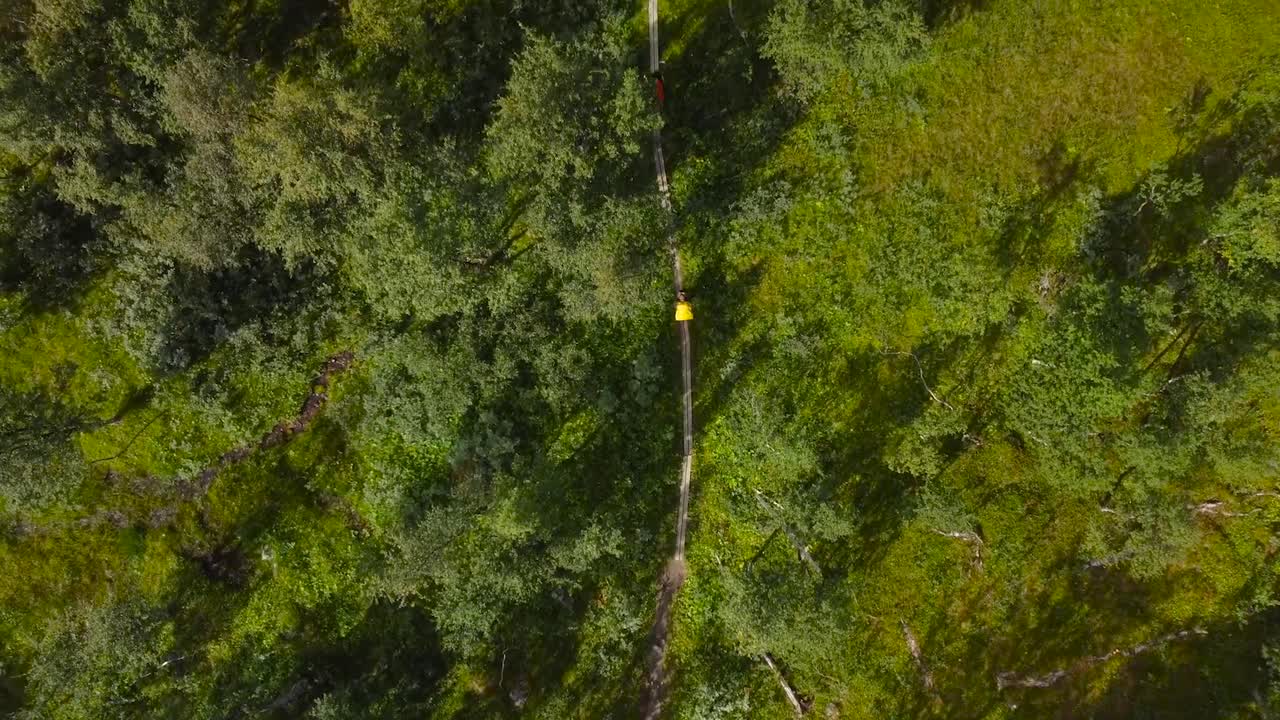 Top down aerial drone footage following two hikers or backpackers walking in Sweden grassy green and lush birch forest woodlands during a sunny day on a mud road that is leading into the distance.