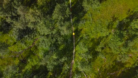 top down aerial drone footage following two hikers or backpackers walking in sweden grassy green and lush birch forest woodlands during a sunny day on a mud road that is leading into the distance.