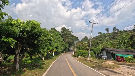 traveling down a road surrounded by lush greenery