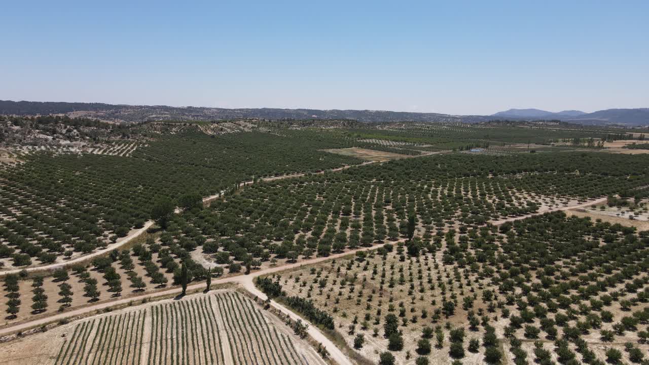 amplio huerto de manzanas aéreo, vista de avión no tripulado de huerto de mazás, jardín cosido en el campo