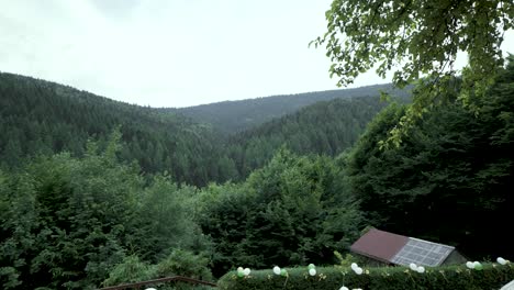 Jardín-Lleno-De-Globos-En-Medio-Del-Bosque-Con-Vista-A-Las-Montañas