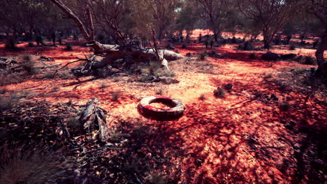 life ring buoy in desert beach