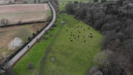 Aerial---Highway-next-to-grazing-livestock-in-Somerleyton,-England,-wide-shot
