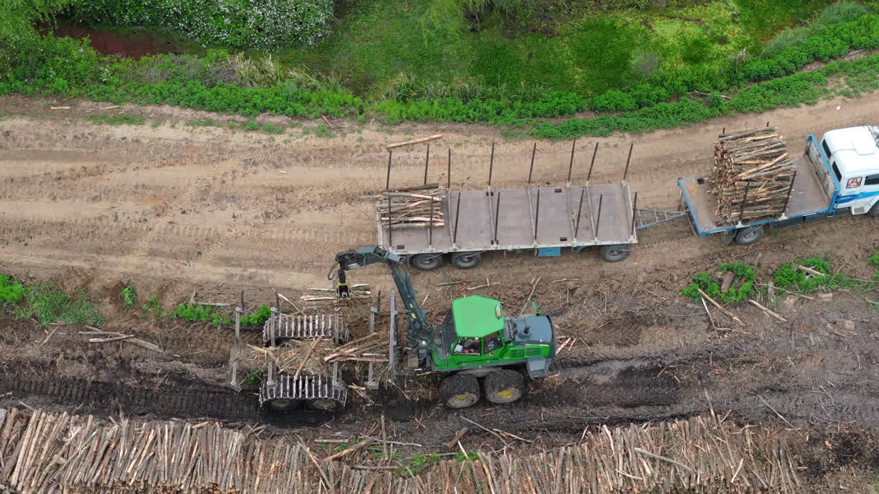 Aerial view of a forestry machine gathering timber before loading in the forest