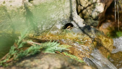 water flowing over rocks eroding the surface to create a natural runoff along a creek - isolated close up