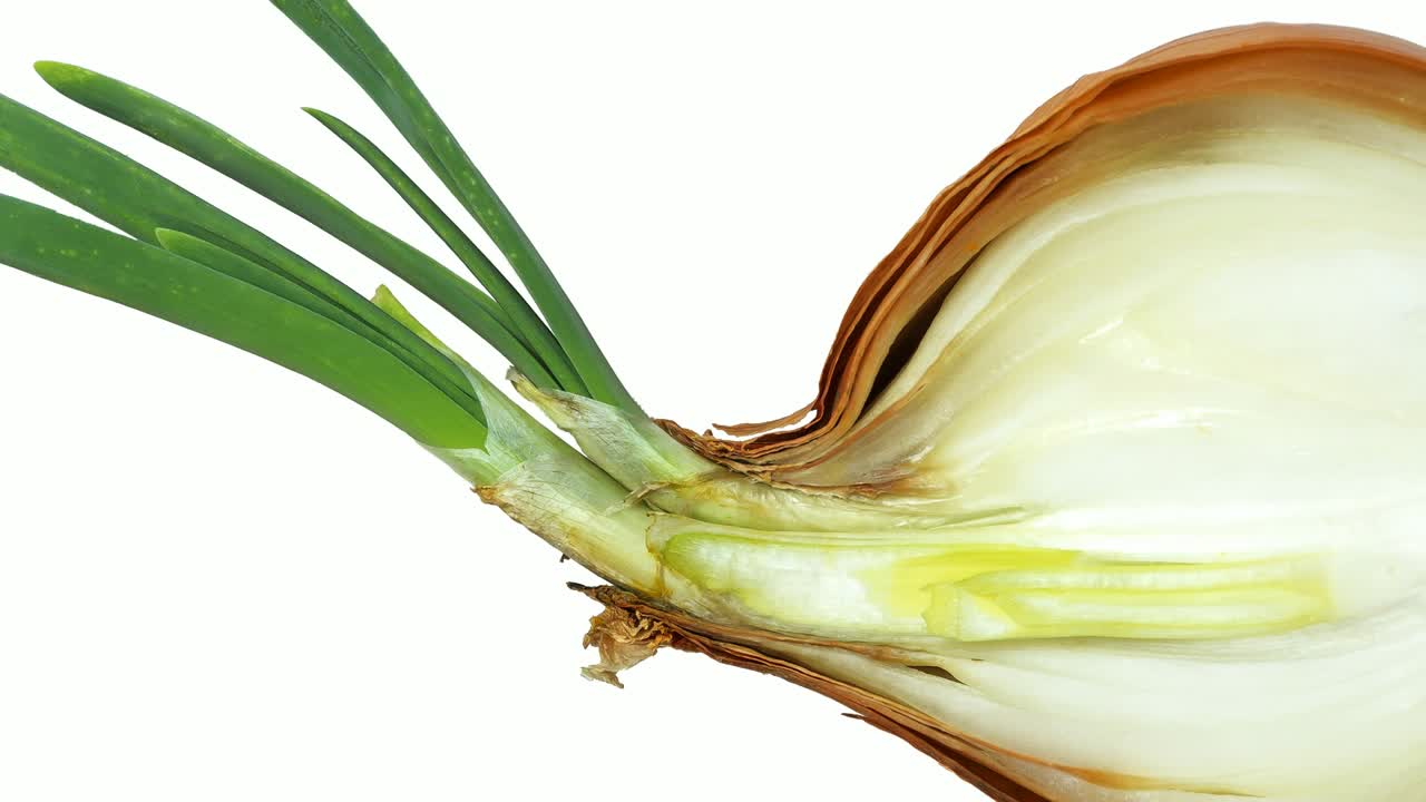 양파, 반으로 잘라