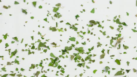 chopped green parsley falling in white background close up, macro shot