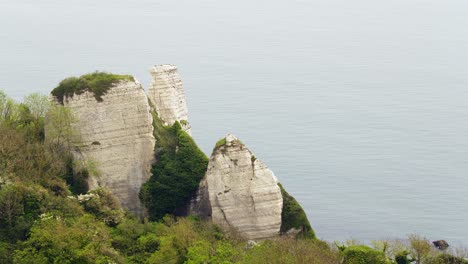 huge rock stacks formed after coastal erosion on the chalk cliffs of branscombe in devon