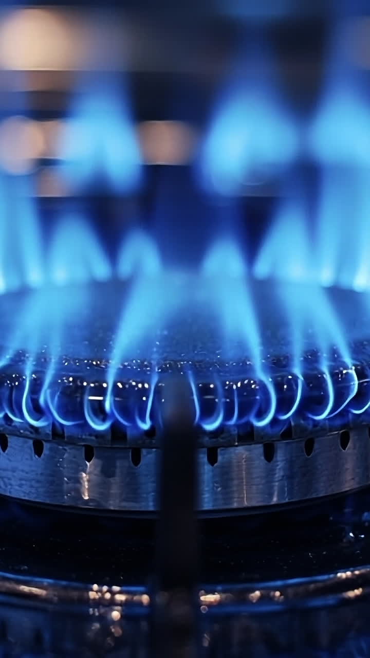 Blue flames from a gas stove burner