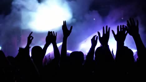 crowd at a concert with their hands raised in the air