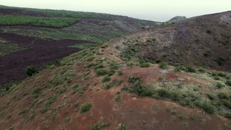 Aerial-Dolly-of-Green-Vegetation-Growing-on-Mountaintop-Ledge,-Tenerife-Spain