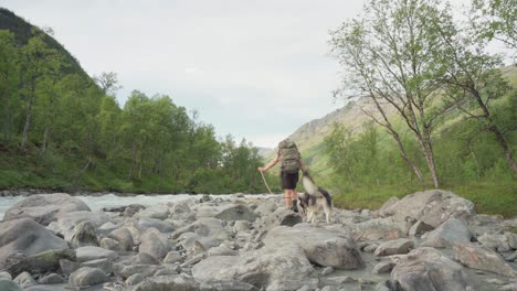 norwegian hiker is trekking with dog passing through rocky river in lyngsdalen forest mountain in norway