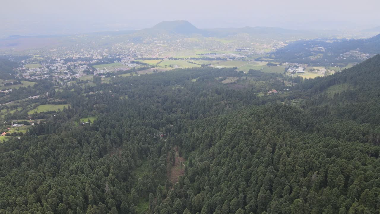 Pull front view above forest near to agricultural fields, in Mexico City