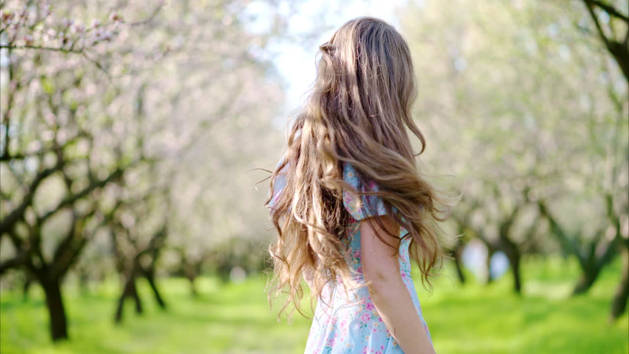 Brunette woman in a blue dress spinning in a field of blooming almond trees