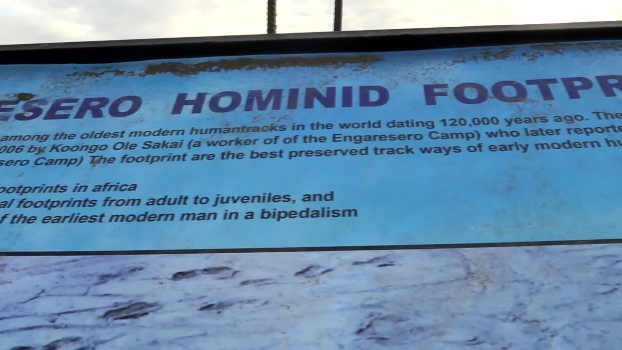 dolly a lo largo del histórico cartel de huellas de engaresero en el lago natron, tanzania