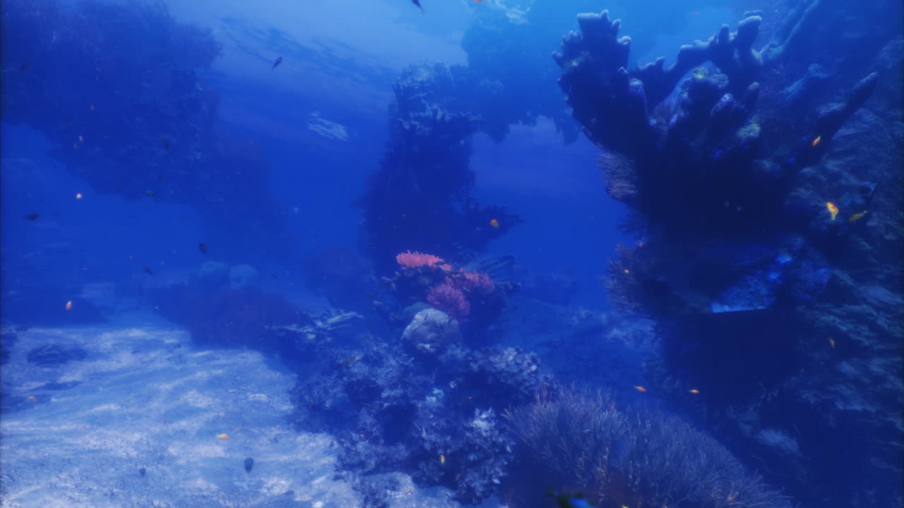 La exploración submarina revela corales vibrantes y una vida marina diversa.