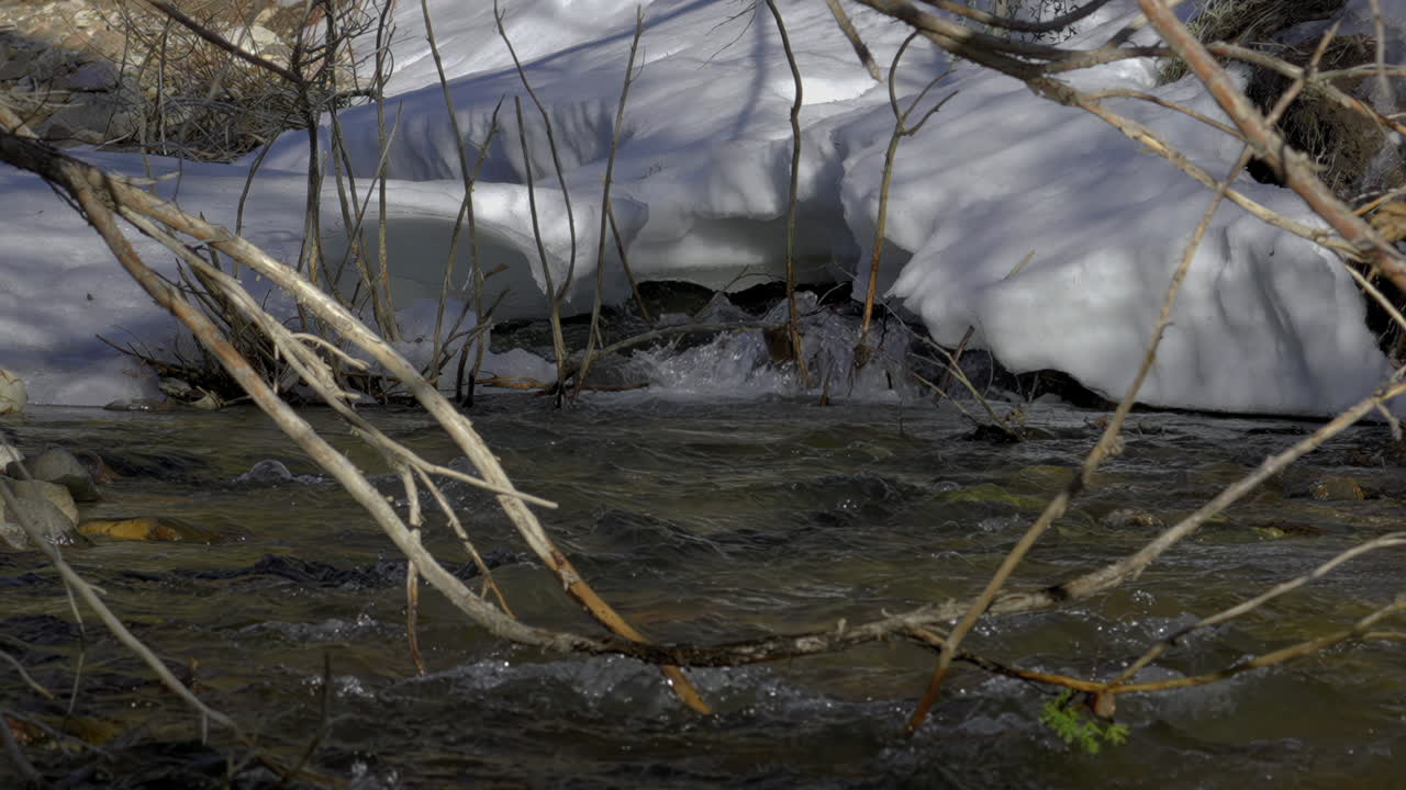 Stream Rushing On A Frozen Rivershore In The Mountain Forest. Zoom in, Close-up