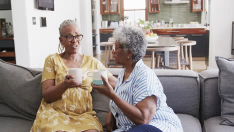 Felices-Amigas-Afroamericanas-Mayores-Tomando-Café,-Hablando-En-El-Sofá,-Cámara-Lenta