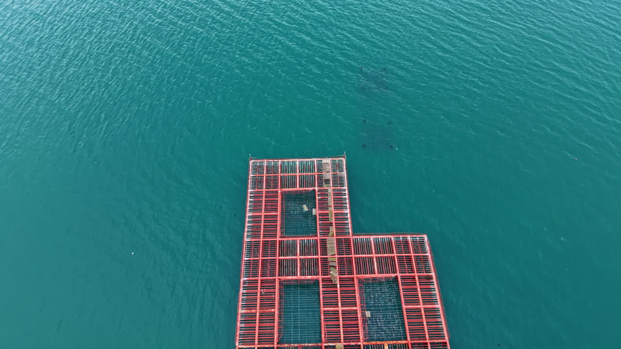 Mussel farm setup in open water with equipment and structures for shellfish cultivation in a coastal area during daylight hours