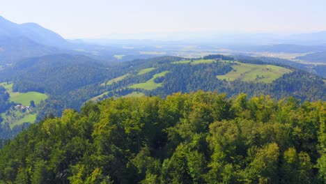 aerial drone shot of landscape vast forest and mountains, slovenia