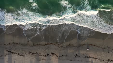 Una-Vista-Aérea-De-Arriba-Hacia-Abajo-Sobre-La-Playa-De-Hollywood,-Florida-En-Un-Día-Soleado