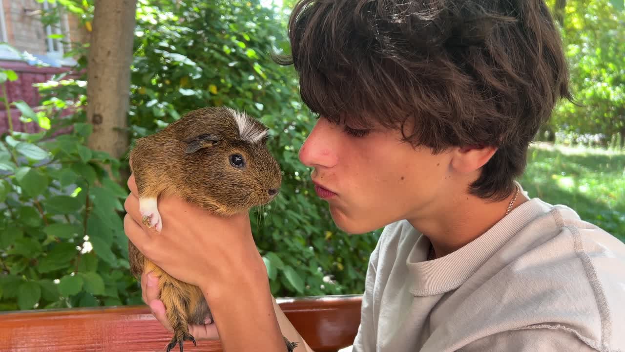 niño sosteniendo un conejillo de indias al aire libre