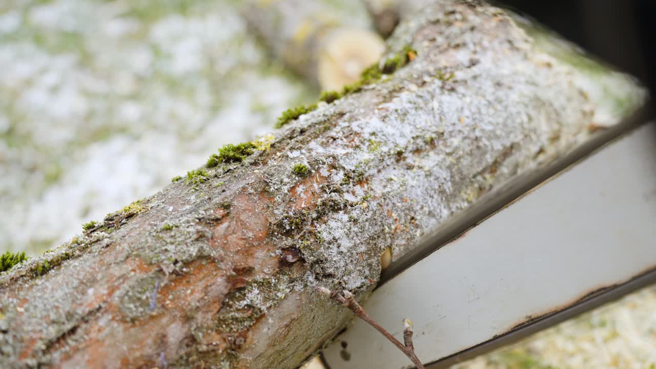 전기톱으로 통나무 자르기, 난방 시즌 준비
