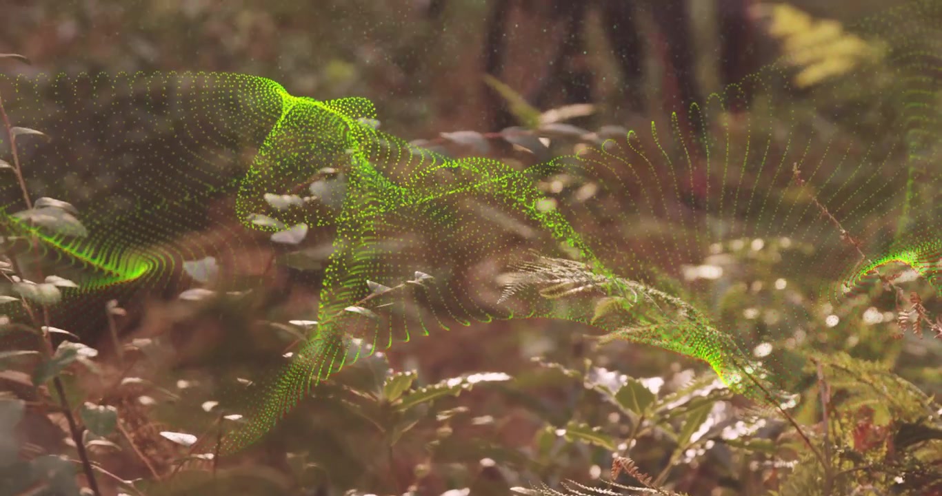 Rete verde illuminata dal sole tra le felci, che si trasforma e svanisce attorno a una donna in bicicletta, in un ambiente tecnologico.