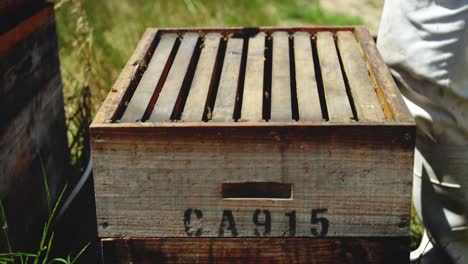 Beekeeper-working-on-beehive