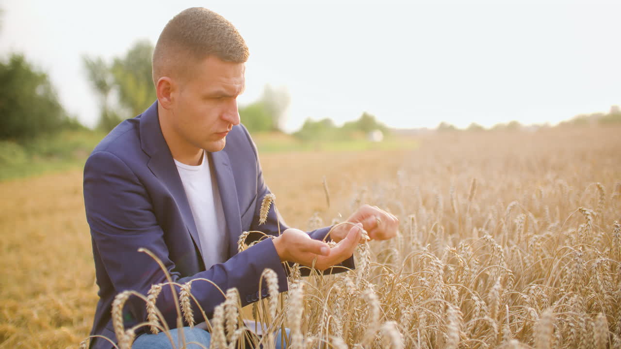 зерна пшеницы в руках фермера сельское хозяйство 7
