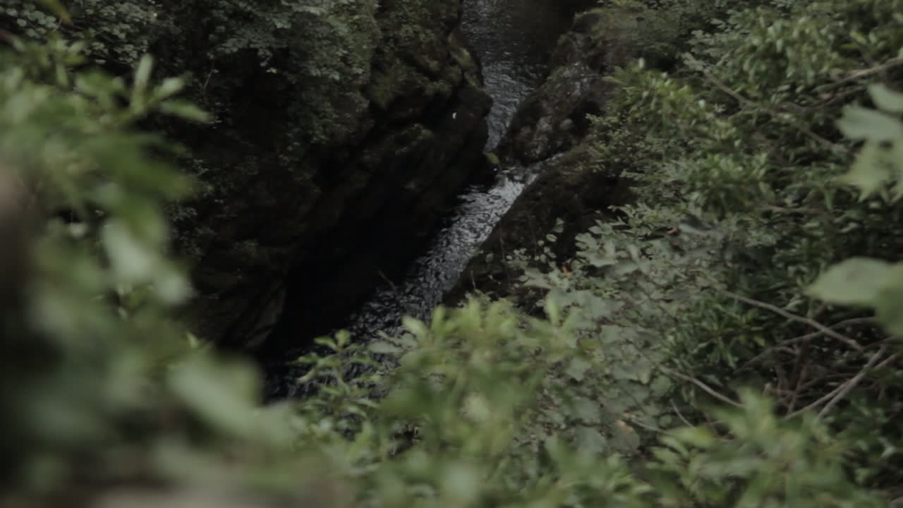 la cascada en la cascada de la fuerza de aire, inglaterra, que está rodeada de vegetación y el agua que fluye por el camino es visible desde la parte superior