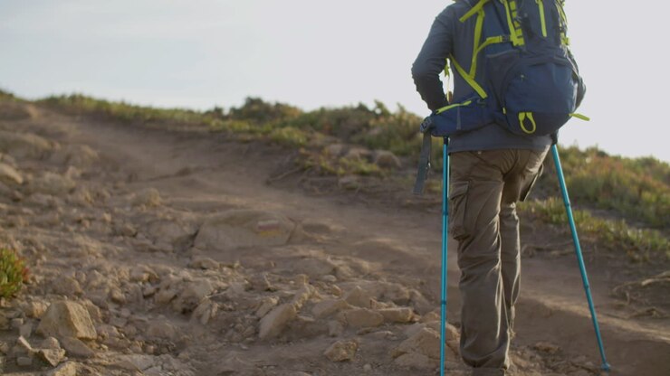 Back view of senior hiker with backpack climbing mountain with trekking sticks