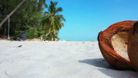 Cracked-coconut-lying-on-white-sand-beach-on-tropical-island
