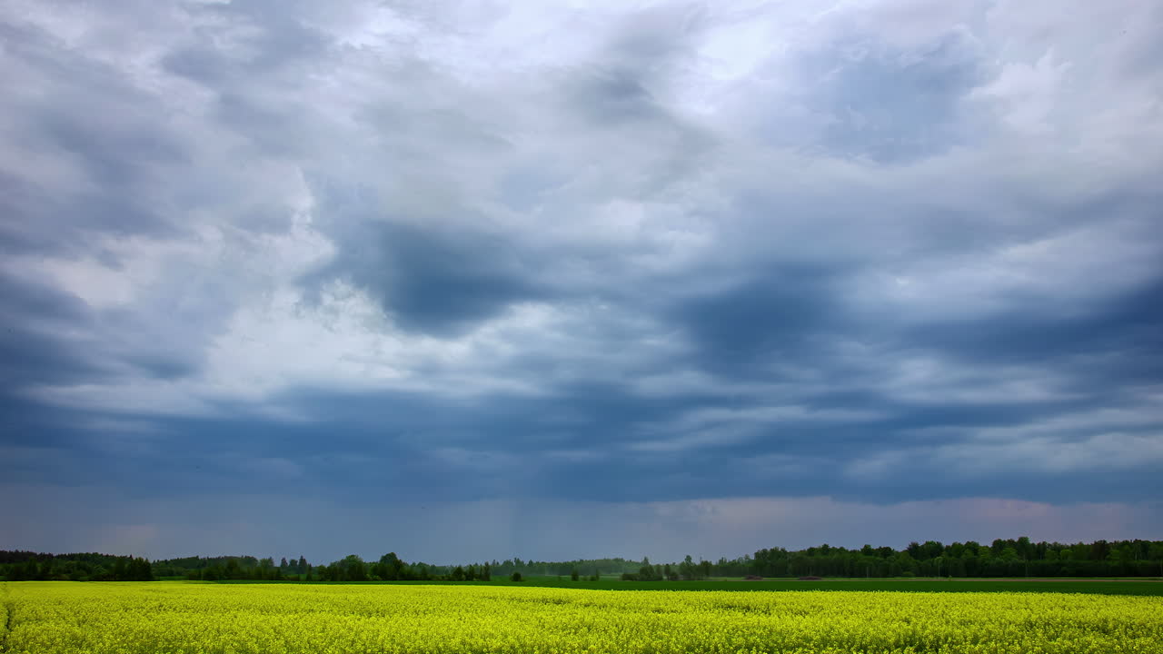 농장의 유채밭 위의 회색 폭풍 구름의 시간 경과