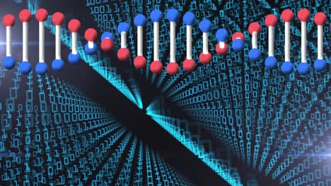 Animation of dna strand spinning over binary code