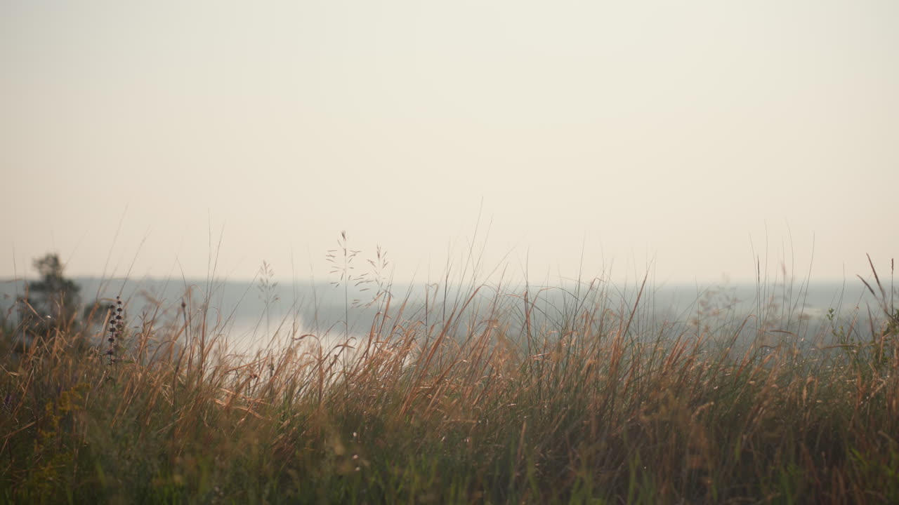 serene panoramic view of winding river cutting through lush green forest under hazy summer sky, distant hills fade into background while soft sunlight illuminates tranquil water
