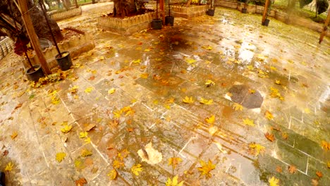 rain fallen maple leaves on stone tiles park in old city shanlyurfa