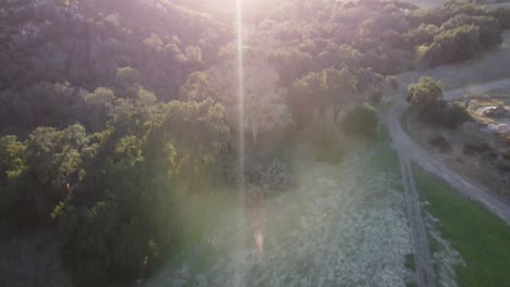 Drone shot of a peaceful morning in a mountain valley filled with trees featuring heavenly sun flare over horizon