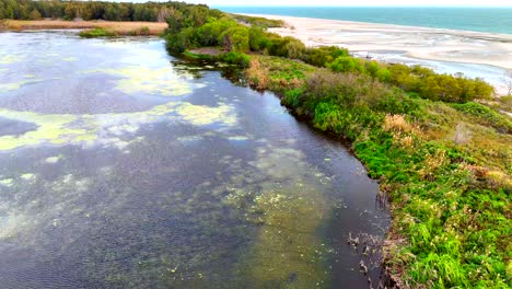 ariel of lake next to beach divided by lush green trees