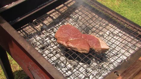 Grilling-the-chop-or-lamb-over-the-fire